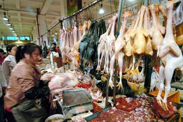 Νέο ξέσπασμα της γρίπης των πουλερικών επιβεβαίωσαν οι αρχές της Κίνας