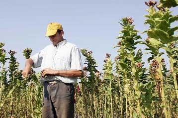 Εκτός επιδοτήσεων οι αγρότες που δεν είχαν λάβει ενισχύσεις την τριετία 2000-2002