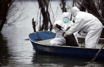 Δεύτερος θάνατος παιδιού στην ανατολική Τουρκία αποδίδεται στη γρίπη των πτηνών