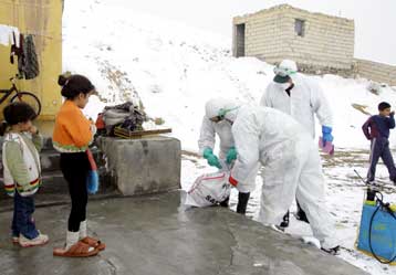 Κρούσματα της γρίπης των πουλερικών σε ακόμη πέντε άτομα στην Τουρκία