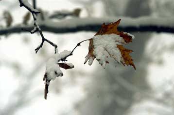 Κακοκαιρία με τσουχτερό κρύο αναμένεται έως τη Δευτέρα