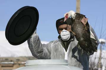 Αρνητική στις εξετάσεις για γρίπη των πουλερικών 32χρονη Γαλλίδα