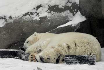 Αυξάνονται τα θύματα του παγετού στη Ρωσία