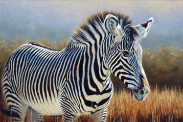 Ανθρακας και ξηρασία απειλούν σπάνια ζέβρα με εξαφάνιση