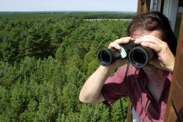 Επιχείρηση για τον εντοπισμό του «Μεγαλοπόδαρου» ξεκινά στη Μαλαισία