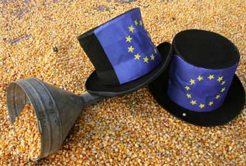 Παρατείνεται η ελληνική απαγόρευση για τις καλλιέργειες τροποποιημένου καλαμποκιού