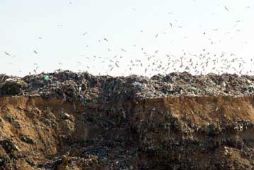 Εξαντλείται οριστικά σε 30 μέρες ο χρόνος ζωής της χωματερής των Ανω Λιοσίων