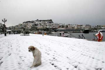 Παγετός, χιονοπτώσεις και ισχυροί άνεμοι σε όλη τη χώρα