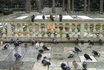 Νέο κύμα ψύχους και χιόνια από το βράδυ της Δευτέρας