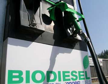 Οικολογικό ντίζελ από φυτικά έλαια διατίθεται από τα Ελληνικά Πετρέλαια