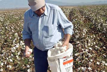 Μειώθηκε το αγροτικό εισόδημα το 2005