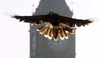 Οι Βρυξέλλες εξετάζουν σχέδια χωρών-μελών για εμβολιασμό κατά της γρίπης των πτηνών