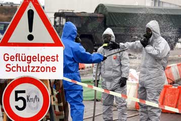 Πρώτο κρούσμα της γρίπης των πτηνών σε οικόσιτα πουλερικά στη Γαλλία