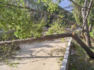 Προβλήματα από το μπουρίνι που έπληξε την Αττική