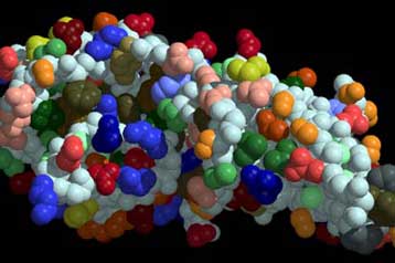 Η ακριβέστερη μέτρηση της ταχύτητας πρωτονίων μέσα σε μόρια
