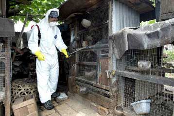 Δύο νέοι θάνατοι από τη γρίπη των πτηνών στην Ινδονησία