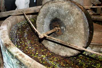 Χυτήρια χαλκού στην αρχαία Κύπρο χρησιμοποιούσαν ως καύσιμο το… ελαιόλαδο