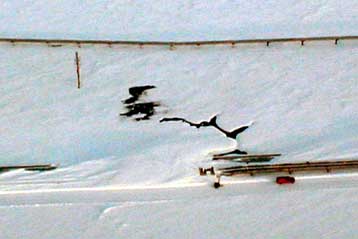 Εκτεταμένη μόλυνση από διαρροή σε πετρελαιαγωγό της Αλάσκας