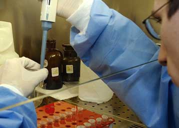 Θετικοί στον ιό Η5Ν1 δύο ακόμα κύκνοι από τη Βόρειο Ελλάδα