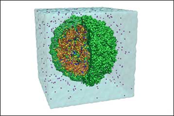 Υπερυπολογιστής προσομοιώνει στιγμιότυπο από τη ζωή ιού