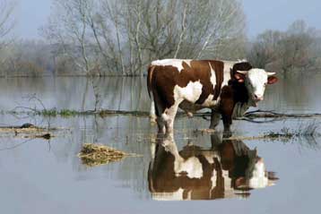 Βελτιώνεται καθημερινά η κατάσταση στον Έβρο