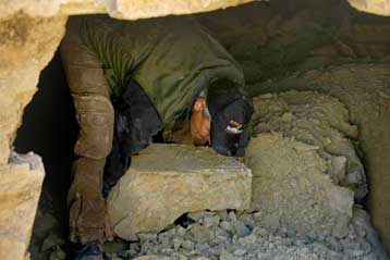 Μοναδική σαρκοφάγος με ομηρικές παραστάσεις ήρθε στο φως στην Κύπρο