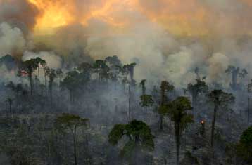 Σχεδόν το μισό δάσος του Αμαζονίου κινδυνεύει να εξαφανισθεί