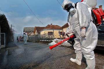 Κρούσμα του ιού H5N1 σε οικόσιτο πουλερικό στη Σερβία