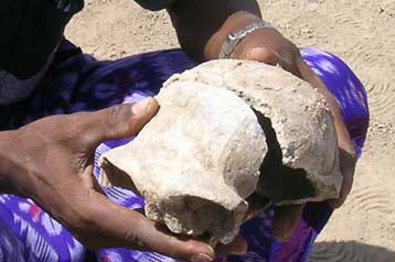 Εύρημα στην Αιθιοπία συνδέει τον Homo erectus με τον σύγχρονο άνθρωπο