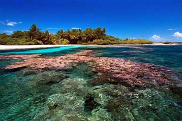 Γιγάντιο θαλάσσιο πάρκο δημιουργείται στον Ειρηνικό