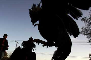 Επιτυχημένη χαρακτηρίζει η Επιτροπή την άσκηση προσομοίωσης για πανδημία γρίπης