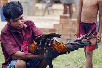 Πρώτο κρούσμα της γρίπης των πτηνών σε πτηνοτροφείο στη Γερμανία