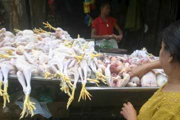 Νέα κρούσματα γρίπης των πτηνών σε άνθρωπο εντοπίστηκαν σε Αίγυπτο και Ινδονησία