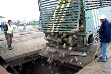 Ανησυχία στους αγρότες για την παραγωγή τεύτλων