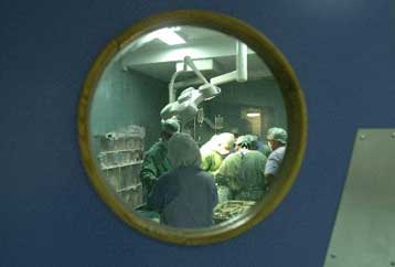 Καταγγελίες για εμπόριο οργάνων από θανατοποινίτες στην Κίνα