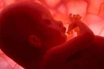 Ριψοκίνδυνες για τα έμβρυα οι «απανωτές» εγκυμοσύνες