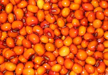 Το μυστικό για φασόλια που δεν φέρνουν… αέρια