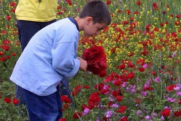 Βροχερός ο καιρός το τριήμερο της Πρωτομαγιάς