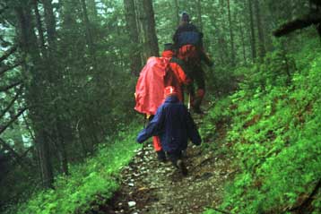 Μουσείο Φυσικής Ιστορίας και ξεναγούς αποκτά ο Όλυμπος