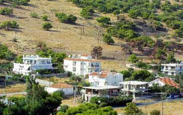 Στην οικοπεδοποίηση χιλιάδων στρεμμάτων δάσους οδηγεί η αναθεώρηση του άρθρου 24