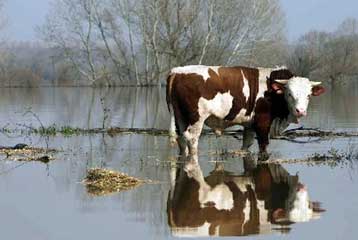 Ειδικό πρόγραμμα ανασυγκρότησης του νομού Έβρου καταρτίζει η κυβέρνηση