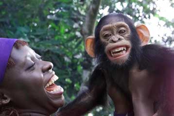 Οι πρόγονοι του ανθρώπου και του χιμπατζή «είχαν διασταυρωθεί»