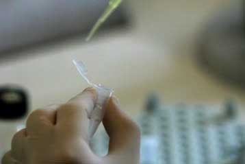 Γονιδιακή θεραπεία δοκιμάζεται κατά της στυτικής δυσλειτουργίας