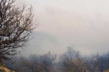 Μεγάλη πυρκαγιά σε δασική έκταση της Βραυρώνας