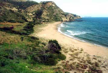 Σε πλήρη εξέλιξη η εφαρμογή της πολιτικής για την προστασία της καρέτα-καρέτα