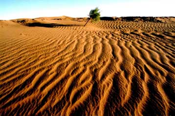 Οι έρημοι επεκτείνονται και επιδεινώνουν την παγκόσμια φτώχεια