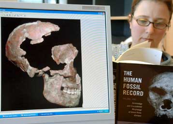 Γενετικό υλικό 100.000 ετών απομονώθηκε από δόντι Νεάντερταλ