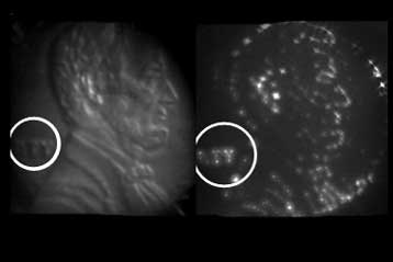 Συνθετικό δέρμα επιτρέπει στα ρομπότ να ψηλαφούν με ακρίβεια