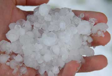 Χωρίς εισφορά, δεν έχει αποζημίωση, διαμηνύει ο ΕΛΓΑ στους πληγέντες παραγωγούς