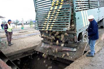 Παράταση αγωνίας για τα πέντε εργοστάσια της Ελληνικής Βιομηχανίας Ζάχαρης